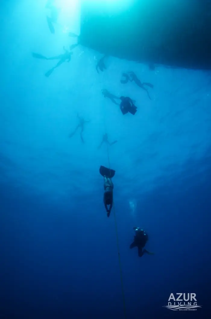Apnée en mer – Club ORCA