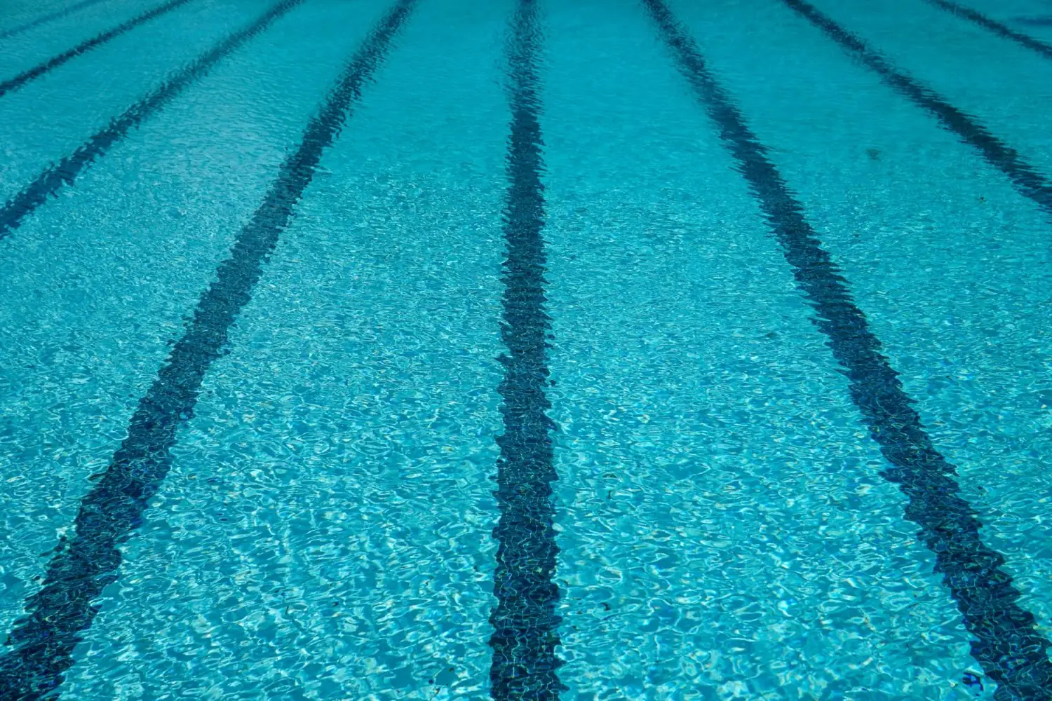 Bassin de 25 m au Club ORCA, entrainement en piscine a Mougins