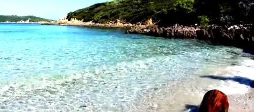 Vidéo sous-marine – Club ORCA Vidéo sous-marine – Club ORCA