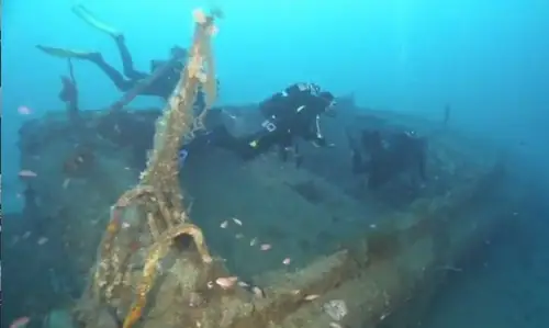 Vidéo sous-marine – Club ORCA Vidéo sous-marine – Club ORCA